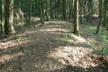 Val chránící tvrz ze západu (© Prudký Martin, 08/2009)
