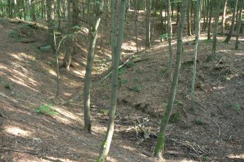 Val s příkopem na jihu (© Prudký Martin, 08/2009)