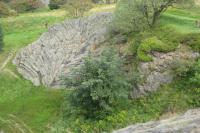 Hirtstein