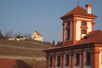 (© Zdeněk Susa, 12/2008)
