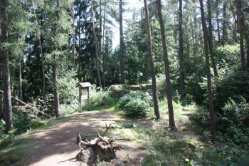 Celkový pohled na temeno kopce s popravištěm ( © Ivan Grisa 08/2009)