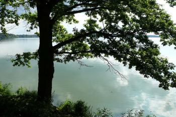 Horusický rybník (© Jiří Cukr, 08/2009)