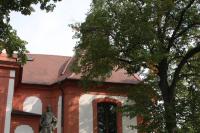 kostel Narození sv. Jana Křtitele