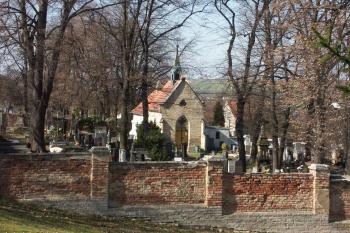  ( © Milan Caha 03/2008)