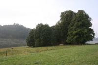 kostel sv. Jakuba