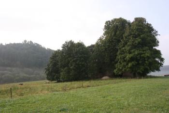 Hrad Hartenštejn a skupina stromů s kostelem svatého Jakuba ( © Ivan Grisa 08/2009)