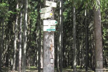 Rozcestník u kříže na Zálomí (© Jan Celý, 08/2009)