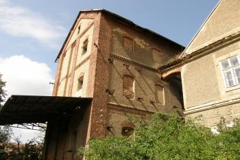 hvozd ( © Dr.Valek, 08/2009)