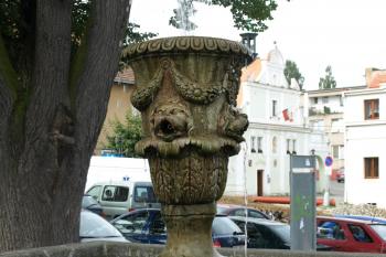  ( © Milan Caha 08/2009)