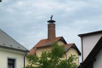 měšťanský pivovar