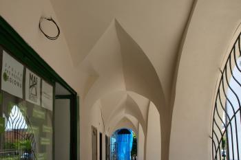 klenba úzkého loubí ( © Milan Caha 09/2009)