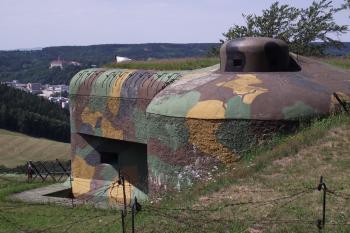  (© Michal Brůža, 07/2011)