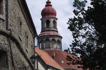  (© Michal Brůža, 07/2011)