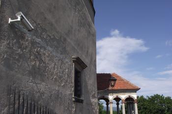  (© Michal Brůža, 07/2011)