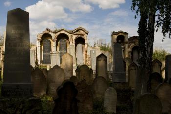 židovský hřbitov v Ivančicích (© Tomáš Berka, 09/2009)