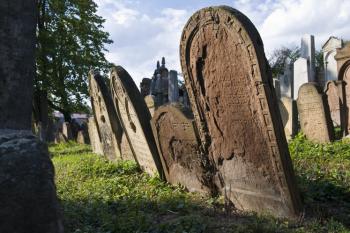 židovský hřbitov v Ivančicích (© Tomáš Berka, 09/2009)