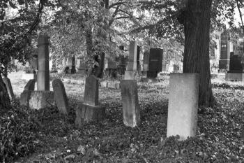 židovský hřbitov v Ivančicích (© Tomáš Berka, 09/2009)