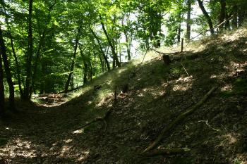  ( © Milan Caha 09/2009)