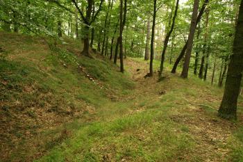 centrální plocha, příkop a val od jihovýchodu ( © Milan Caha 09/2009)