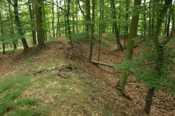 val a příkop z koruny valu ( © Milan Caha 09/2009)
