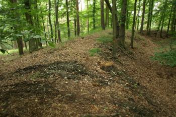 val a příkop z koruny valu ( © Milan Caha 09/2009)