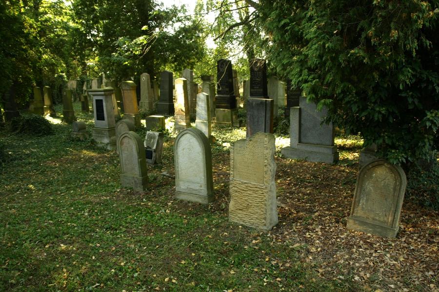 židovský hřbitov