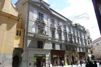 Dietrichštejnský hraběcí palác - Salmovský palác