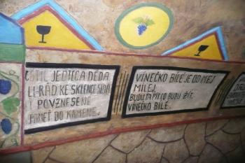 sklípek je pokryt celou řadou velmi pravdivých hesel a rčení ( © Jan P. Štěpánek 07/2009)