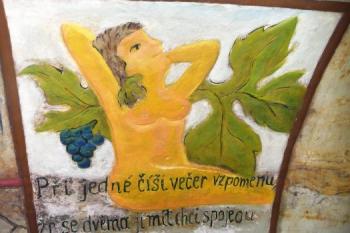 jeden z nejkrásnějších poznatků, zaznamenaný na stěně sklepa ( © Jan P. Štěpánek 07/2009)