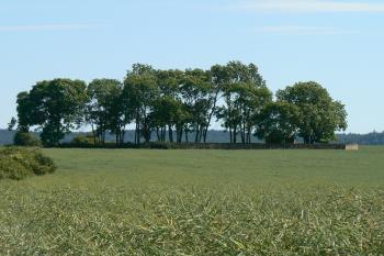 Pohled ze severu, od silnice (© Prudký Martin,06/2009)