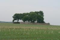 židovský hřbitov