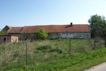 terénní vlna - snad pozůstatek valu ( © Milan Caha 05/2009)