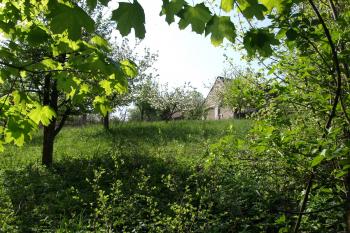 pahorek nad Cidlinou na kterém stával hrad ( © Milan Caha 05/2009)