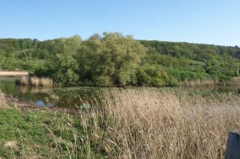 tvrziště od jihu ( © Milan Caha 05/2009)