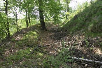 Příkop a val na východní straně ( © Filip Matoušek 5/2009)