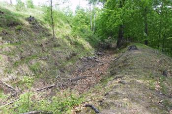 Jihovýchodní úsek příkopu ( © Filip Matoušek 5/2009)
