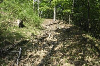 Příkop zaříznutý do severního svahu ( © Filip Matoušek 5/2009)