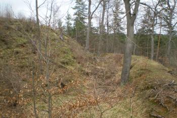 hrad Svébořice (© David Koral, 03/2010)