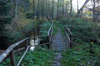 Cesta kolem náhonu (© Jiří Cukr, 10/2008)