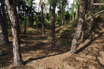 Strážiště (© Luděk Draštík, 8/2009)