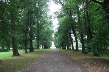 Průhled hlavní alejí parku od Sluneční brány k zámku ( © Ivan Grisa 08/2011)