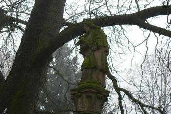  (© Prudký Martin, 11/2009)