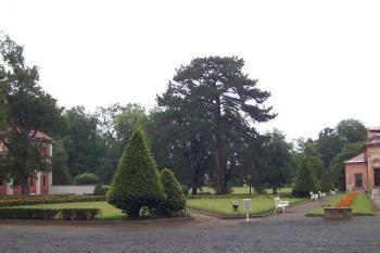 Mnichovo Hradiště (© Ivo Rozehnal, 07/2007)