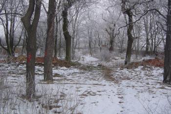 židovský hřbitov v Podbořanech (© Prudký Martin, 02/2006)