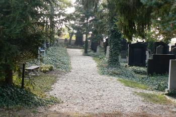  (© Prudký Martin, 10/2009)