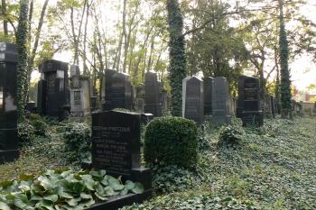  (© Prudký Martin, 10/2009)