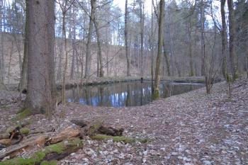 jezírko (plovárna) (© Jaroslav Špiroch  03/2023)