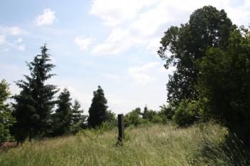 Horní část hřbitova: pohled k jihovýchodu ( © Ivan Grisa 06/2010)
