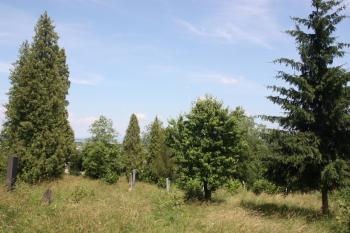 Střední část hřbitova ( © Ivan Grisa 06/2010)