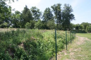 Severní část hřbitova se zbytky ohradní zdi ( © Ivan Grisa 06/2010)